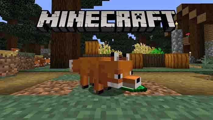 minecraft versi 14