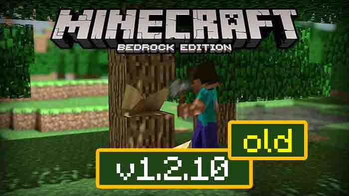 Download Minecraft Pe 1 2 10 For Android Xbox Live Support