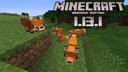 Full Version Of Minecraft Pocket Edition 1 13 1 For Android