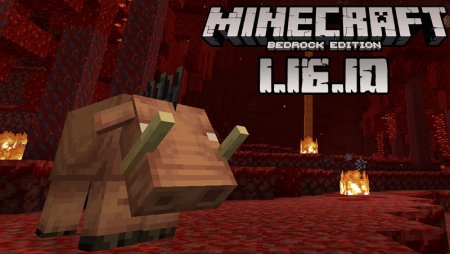 MINECRAFT PE 1.16: 10 COISAS QUE VOCÊ PODE FAZER