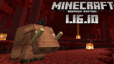 Download Minecraft Pocket Edition 1 16 10 02 Nether Update Release Version