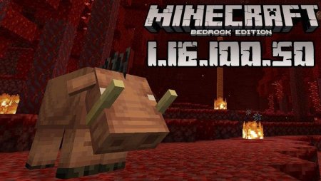 Download free Minecraft 1.16.100.50 Bedrock