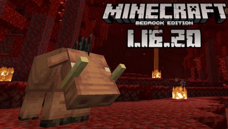 Download Minecraft PE 1.16.20.03