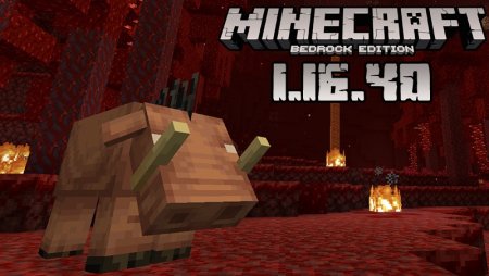 Download Minecraft Pocket Edition 1 16 40 02 Nether Update Full Version