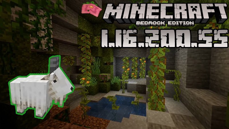 Download Minecraft Pocket Edition 1 16 0 55 Caves Cliffs Beta Version