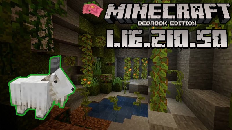 Download Minecraft Pocket Edition 1 16 210 50 Caves Cliffs Beta Version