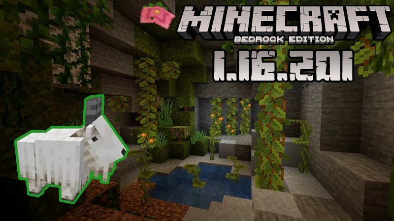 Edição Bedrock 1.16.201 - Minecraft Wiki