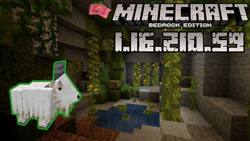 Download Minecraft Pocket Edition 1 16 210 59 Caves Cliffs Beta Version