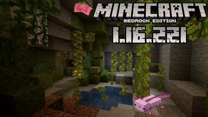 Beta version of Minecraft Pocket Edition 1.16.0.55 for