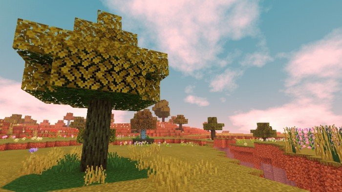 Texture Pack Bun Shader 1.16.100