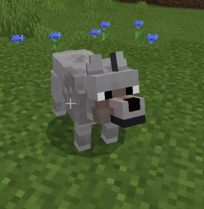 Download addon Improved_Animals for Minecraft Bedrock Edition 1.16 for