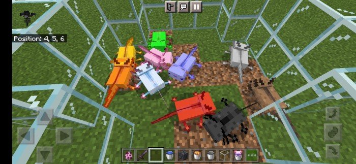 Download Addon More Axolotl Variants For Minecraft Bedrock Edition 1 17 For Android