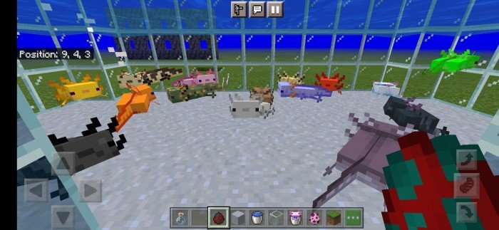 Download Addon More Axolotl Variants For Minecraft Bedrock Edition 1 17 For Android