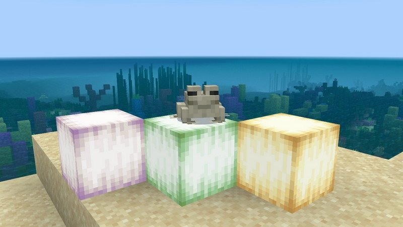 Minecraft PE 1.18.20.25